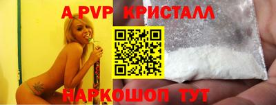 ECSTASY Канаш