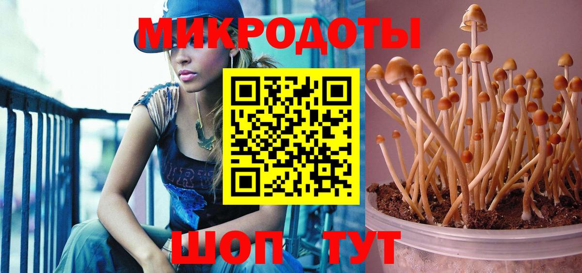 Галлюциногенные грибы Psilocybe Кувандык